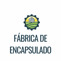 Fábrica de encapsulado